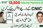 Check Your BISP Balance Online Using CNIC on 8171 Portal